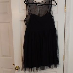 Lauren Conrad Mesh Polka dot Cocktail Dress